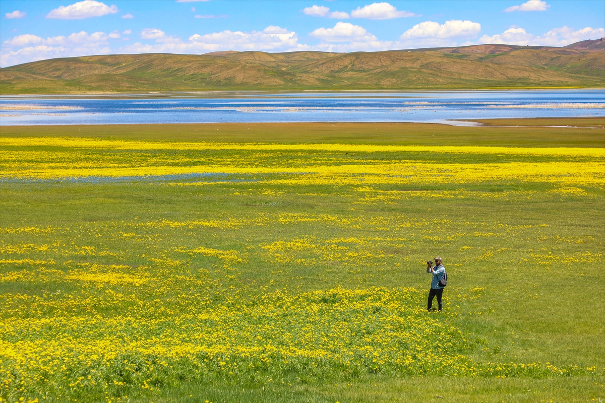 Van'daki Keşiş Gölü, rengarenk doğasıyla ziyaretçilerini ağırlıyor
