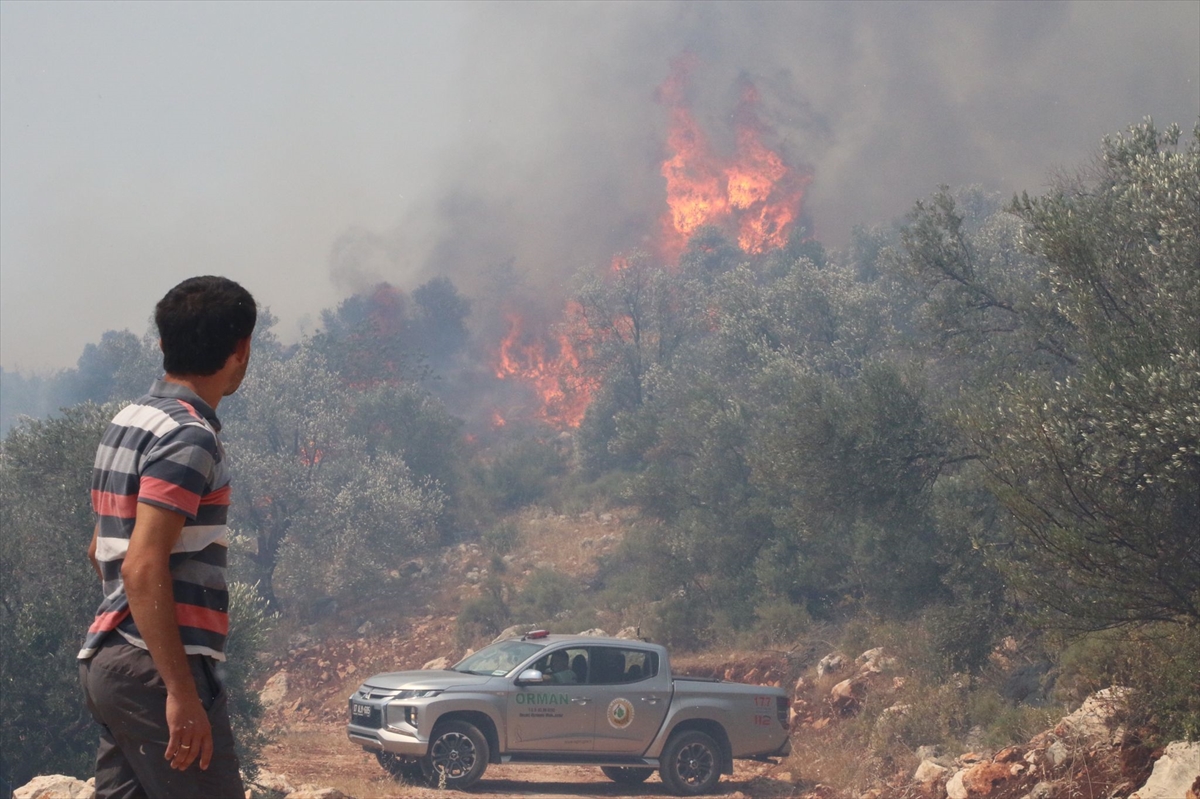 GÜNCELLEME 2 – Antalya'da makilik alanda çıkan yangın kısmen kontrol altına alındı