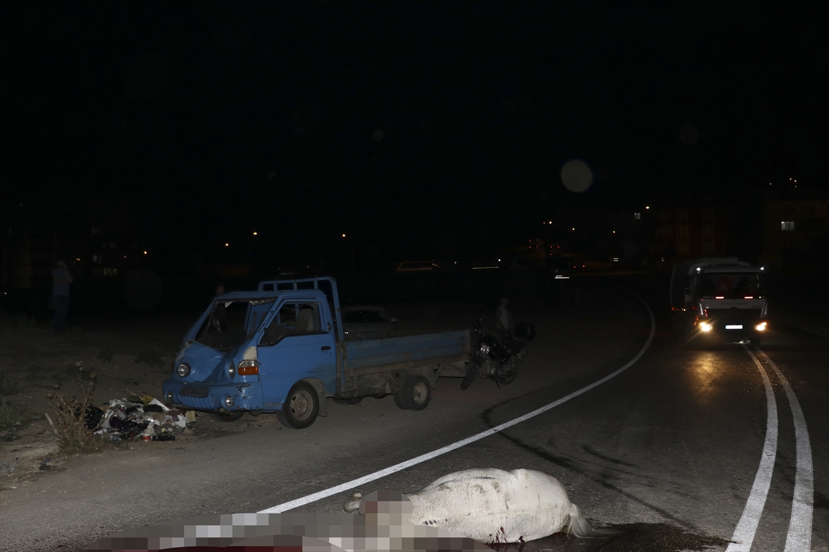 Edirne'de ata çarpan kamyonetin sürücüsü yaralandı