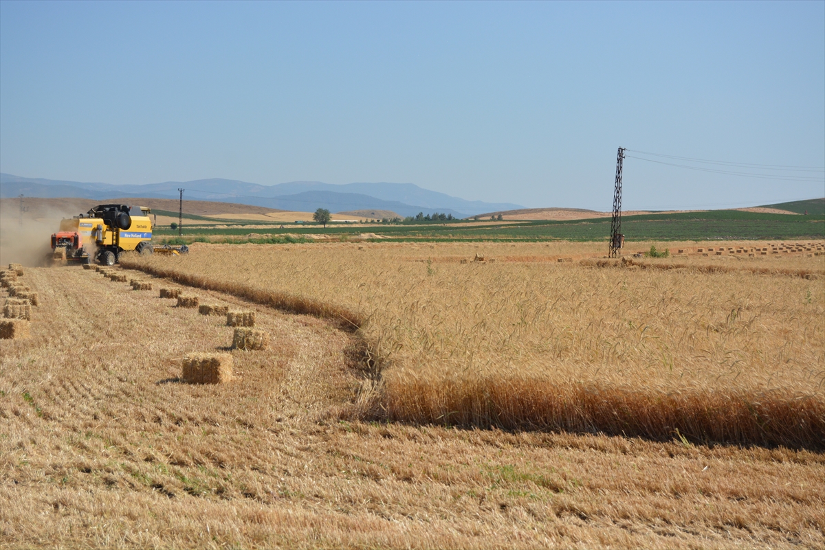 Gaziantep’te hububat hasadının ardından saman mesaisi başladı