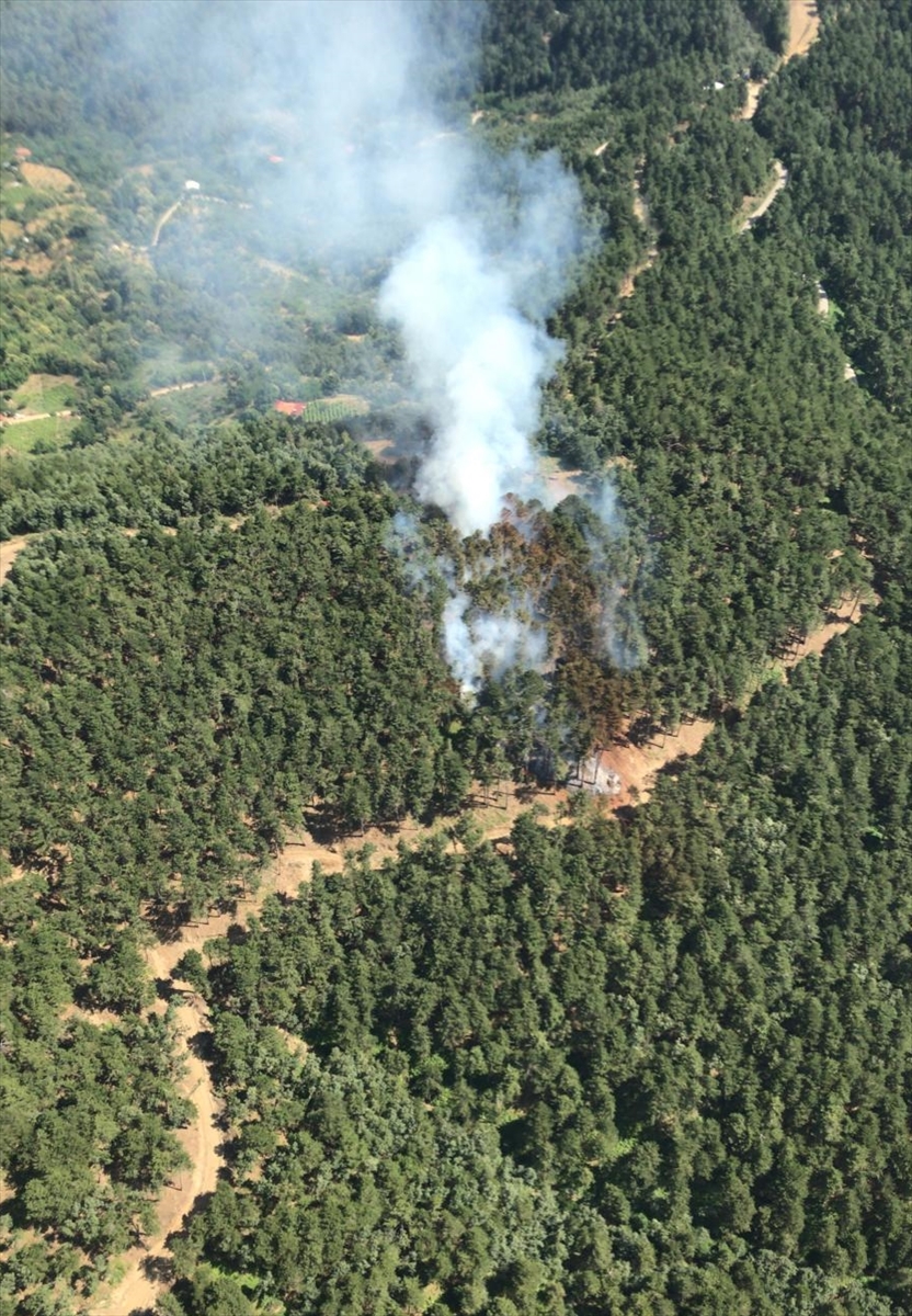 GÜNCELLEME – İzmir'in Kemalpaşa ilçesindeki orman yangını kontrol altına alındı