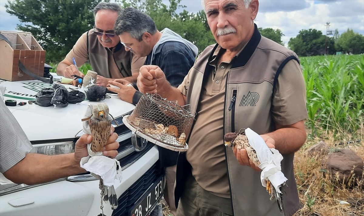 Kayseri'de kaçak avlanan 2 kişiye 50 bin 500 lira ceza verildi