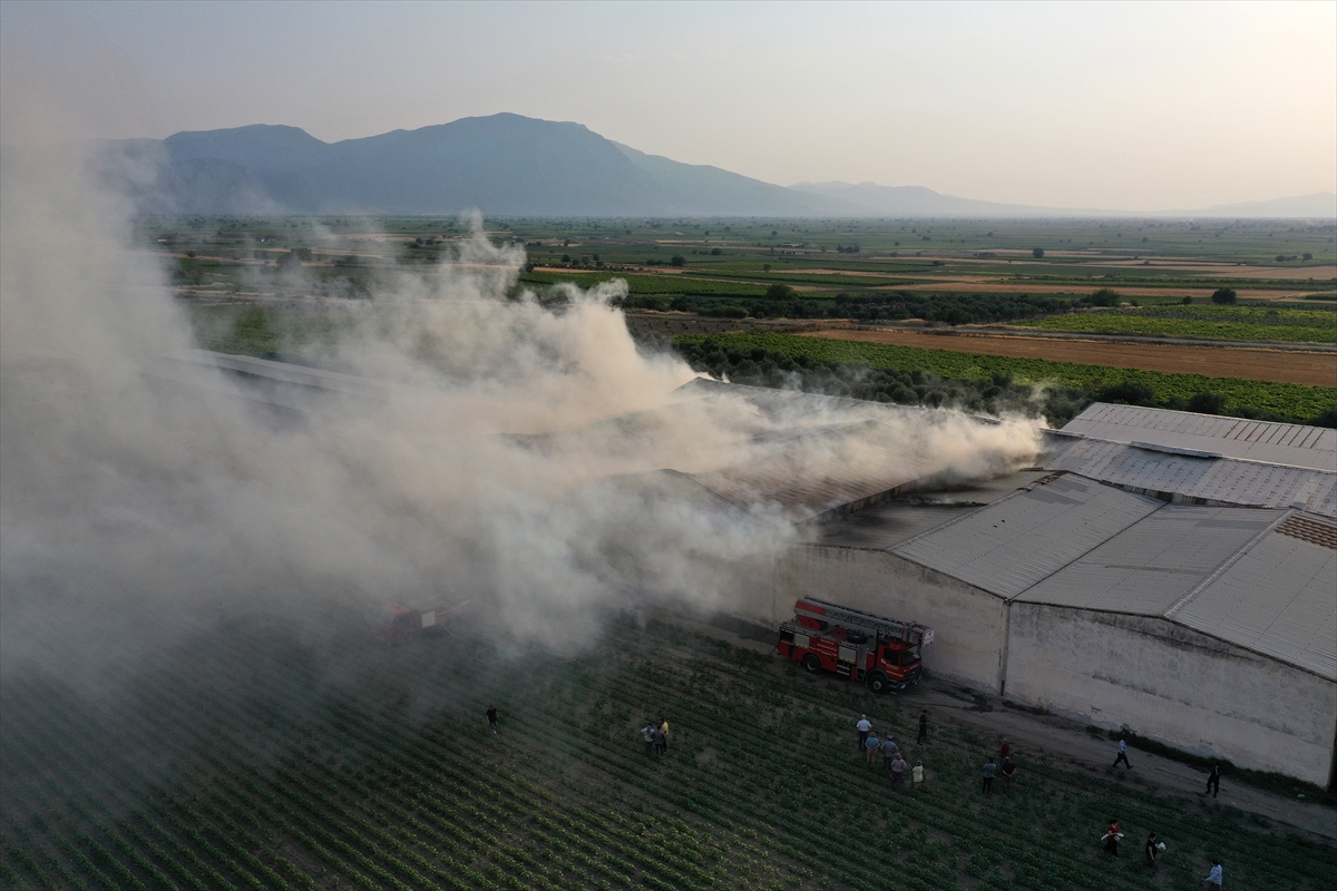 Manisa'da tarım işletmesinde çıkan yangına müdahale ediliyor