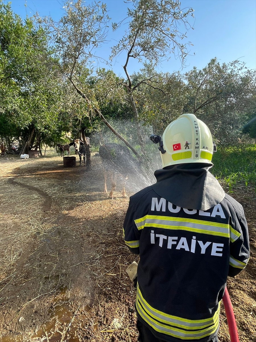 Muğla'da samanlıkta çıkan yangın söndürüldü