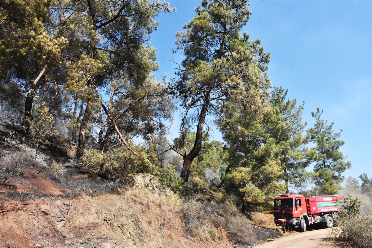 GÜNCELLEME – 2 – Muğla'daki orman yangını söndürüldü