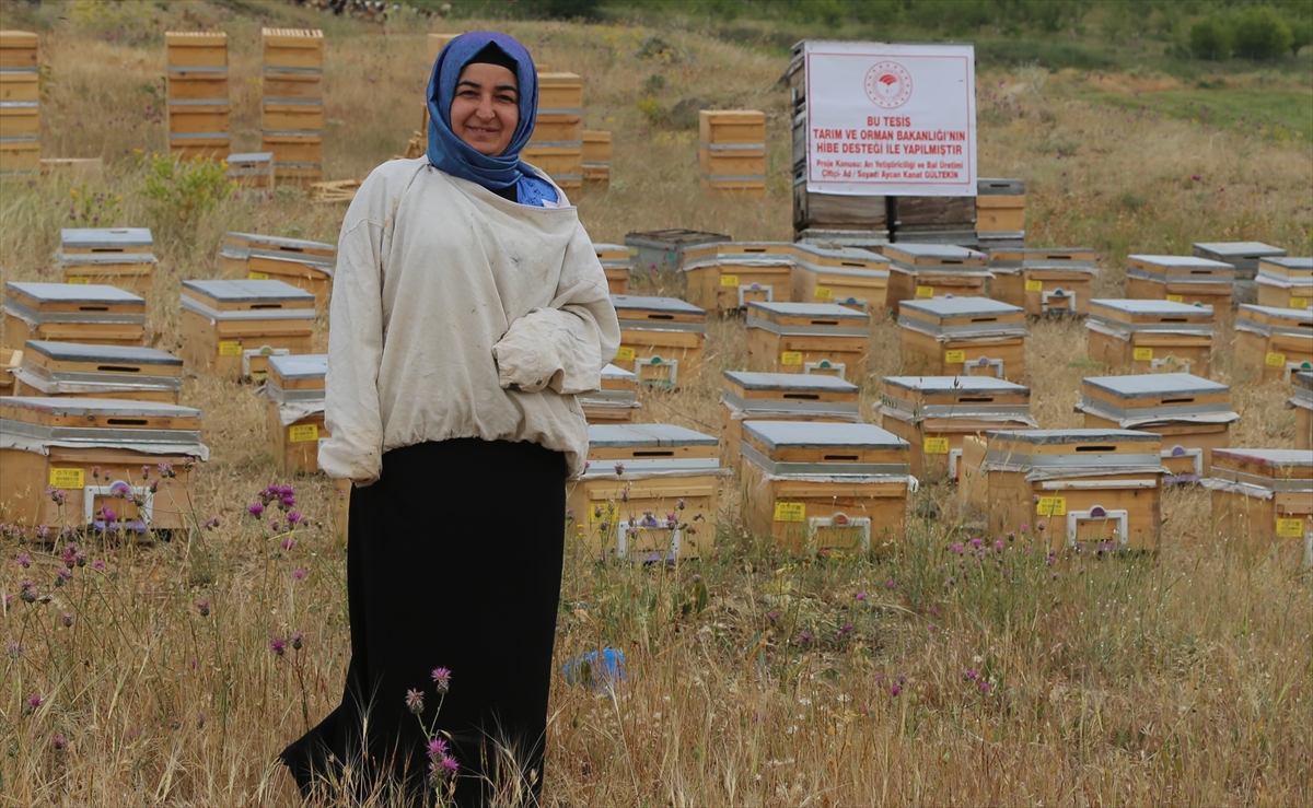 Vanlı kadın girişimci devletin hibe desteğiyle arıcı oldu