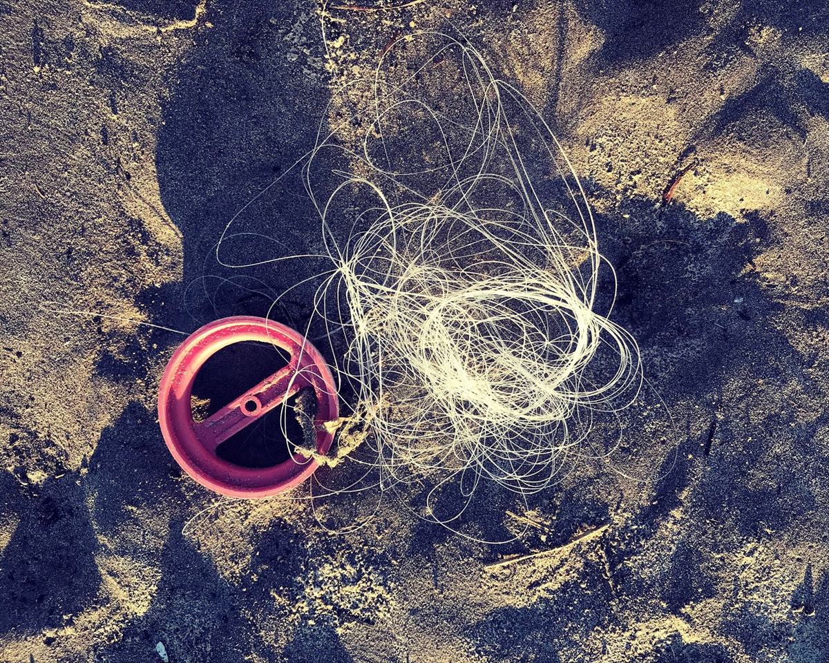 Antalya'da kıyıya vuran caretta carettanın plastik atıklardan öldüğü belirlendi