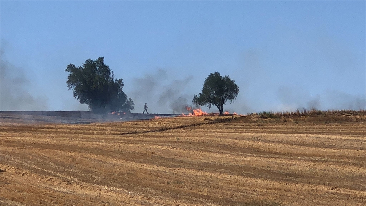 Balıkesir'de bir tarlada çıkan yangına müdahale ediliyor