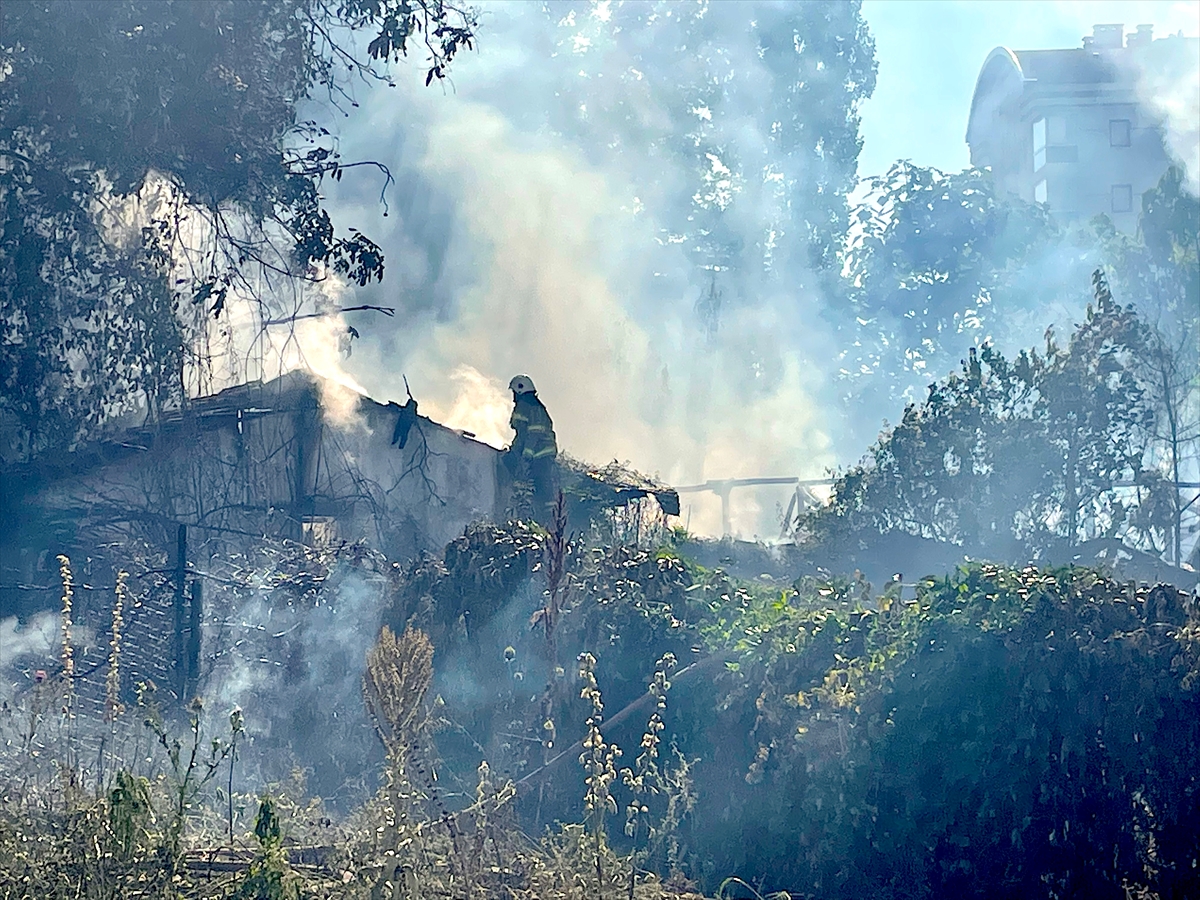 Bursa'da otluk alanda çıkan ve çiftliğe sıçrayan yangın söndürüldü