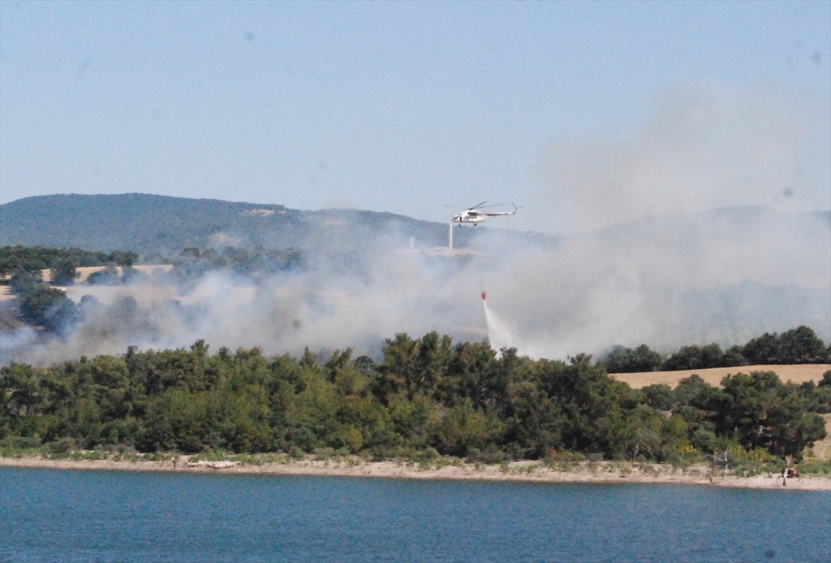 Çanakkale'de çıkan orman yangınına müdahale ediliyor