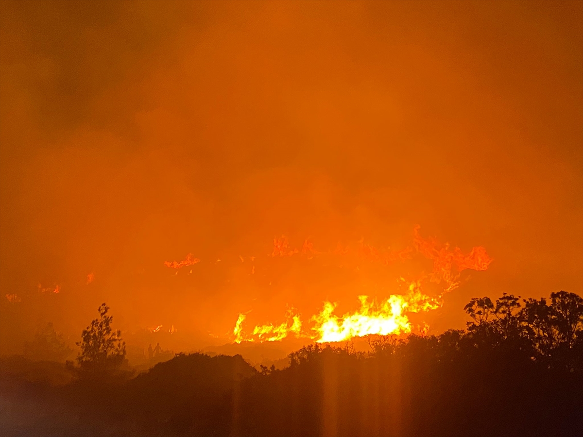 GÜNCELLEME 4 – Çeşme'de makilik alanda çıkan yangına müdahale ediliyor