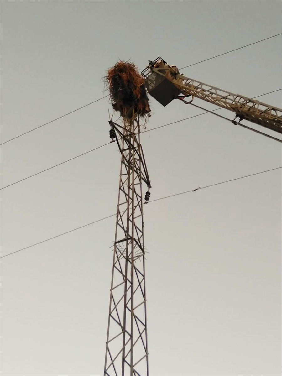 Şanlıurfa'da direkteki yuvada mahsur kalan leylekleri itfaiye kurtardı