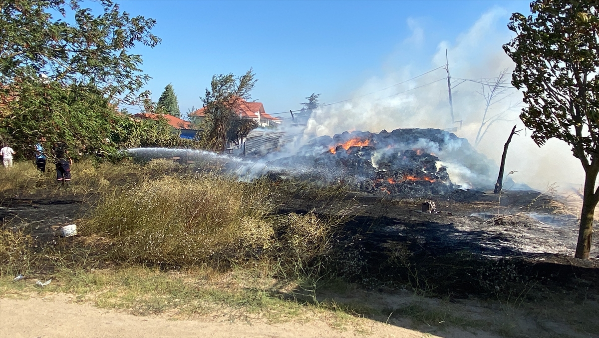 Tekirdağ'da evlere yakın bölgedeki samanlık yangınında 20'ye yakın koyun telef oldu