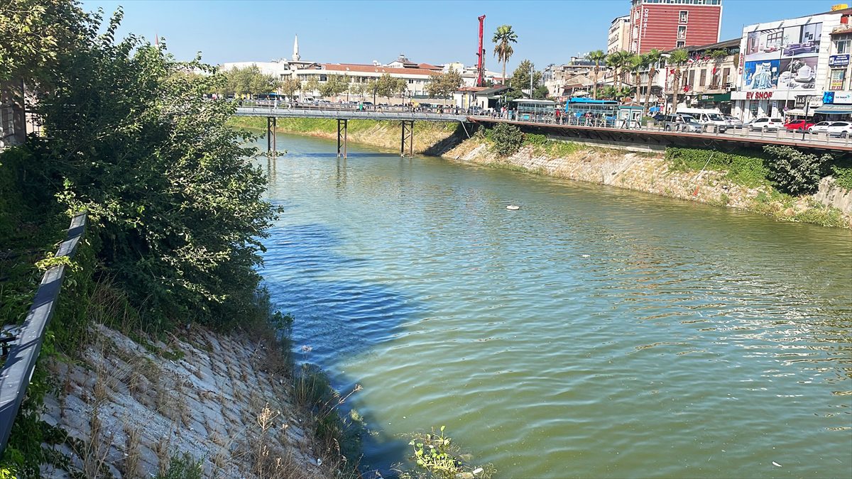 Hatay'da Asi Nehri'ni kaplayan su sümbülleri temizleniyor