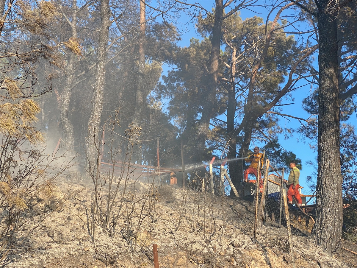 GÜNCELLEME – İzmir'de çıkan orman yangın kontrol altına alındı