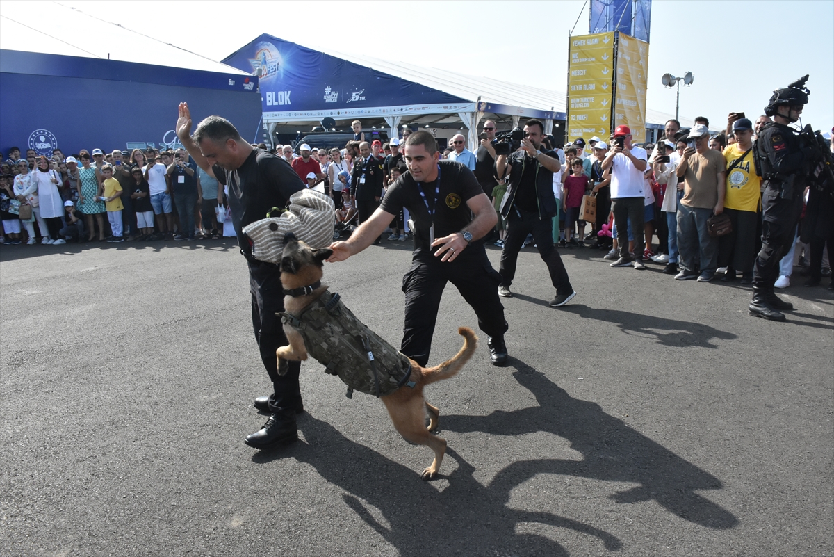 Jandarmada görevli saldırı köpeği “Maşa” da TEKNOFEST'te