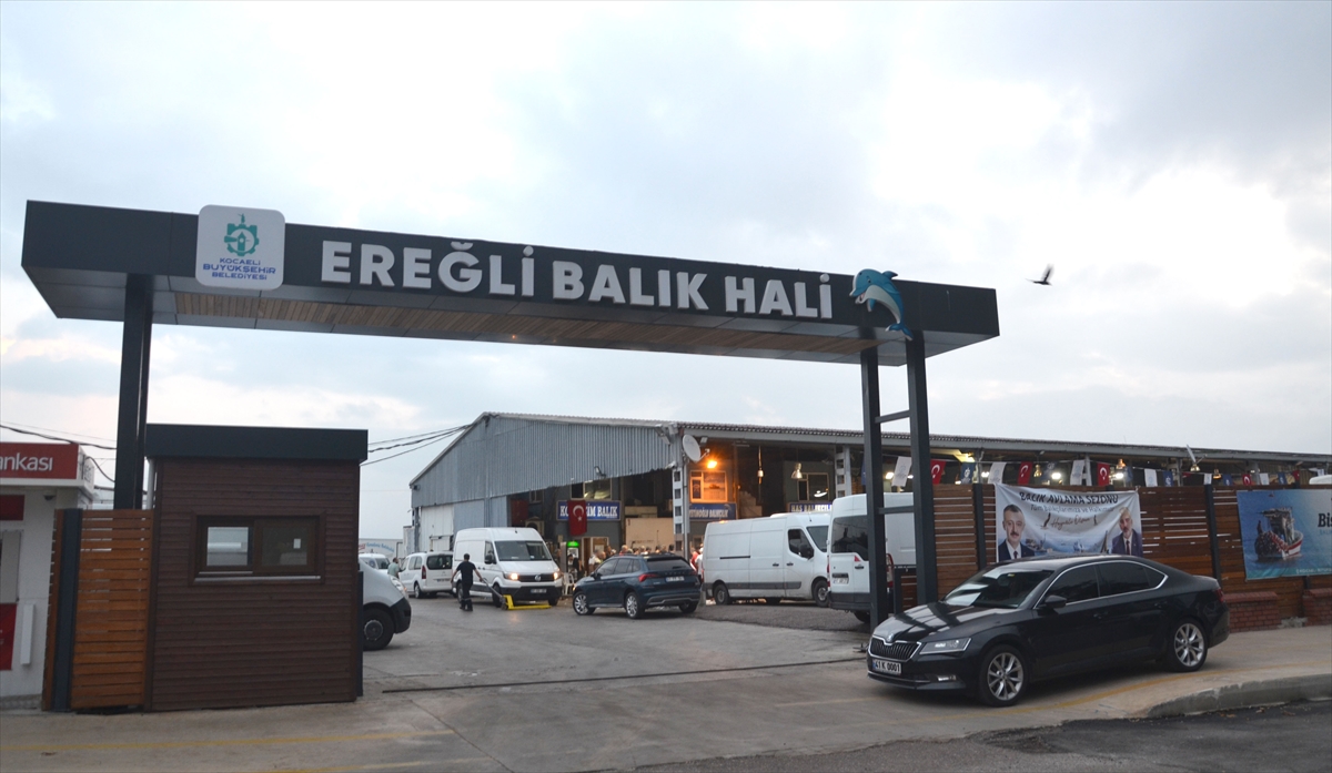 Kocaeli'de balıkçılar sezonun ilk avından döndü