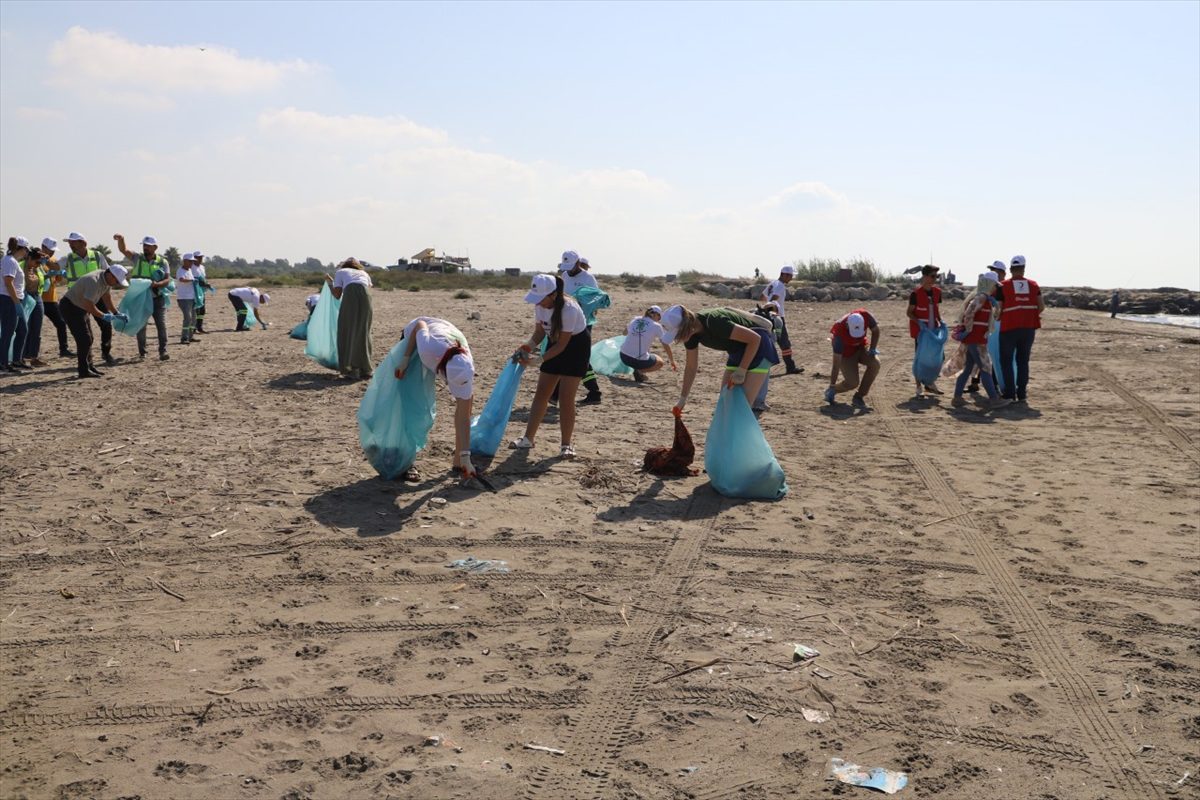 Mersin'de deniz kaplumbağalarının yuvalama alanları temizlendi