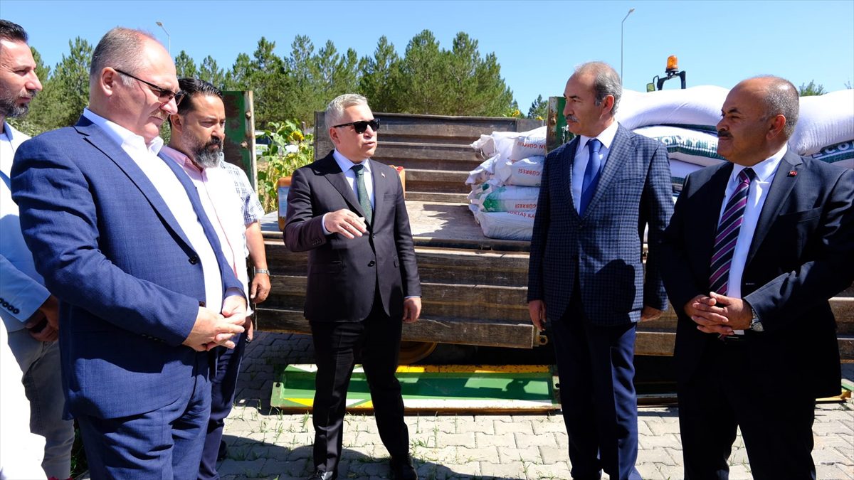 Sivas Cumhuriyet Üniversitesi çiftçilere yerli tohumluk buğday dağıttı