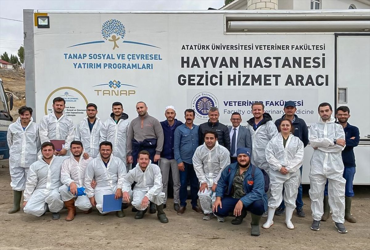 Erzurum'da Hayvan Hastanesi hizmet aracı ilçeleri gezmeye devam ediyor