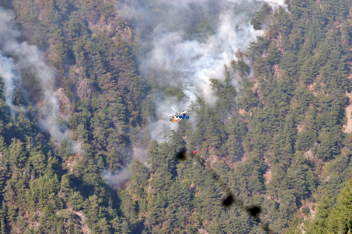 GÜNCELLEME – Osmaniye'deki orman yangınına karadan müdahale başladı