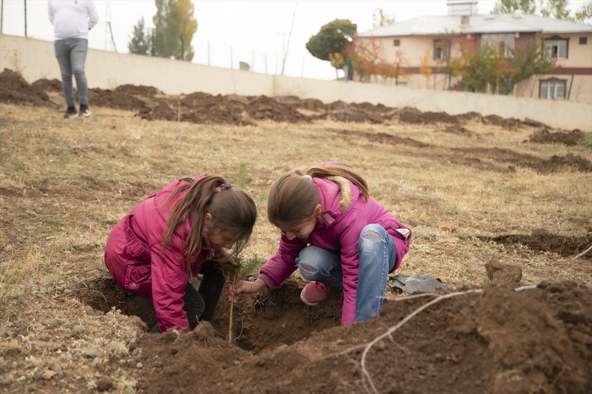 Doğu Anadolu'da “Milli Ağaçlandırma Günü”nde fidanlar toprakla buluşturuldu