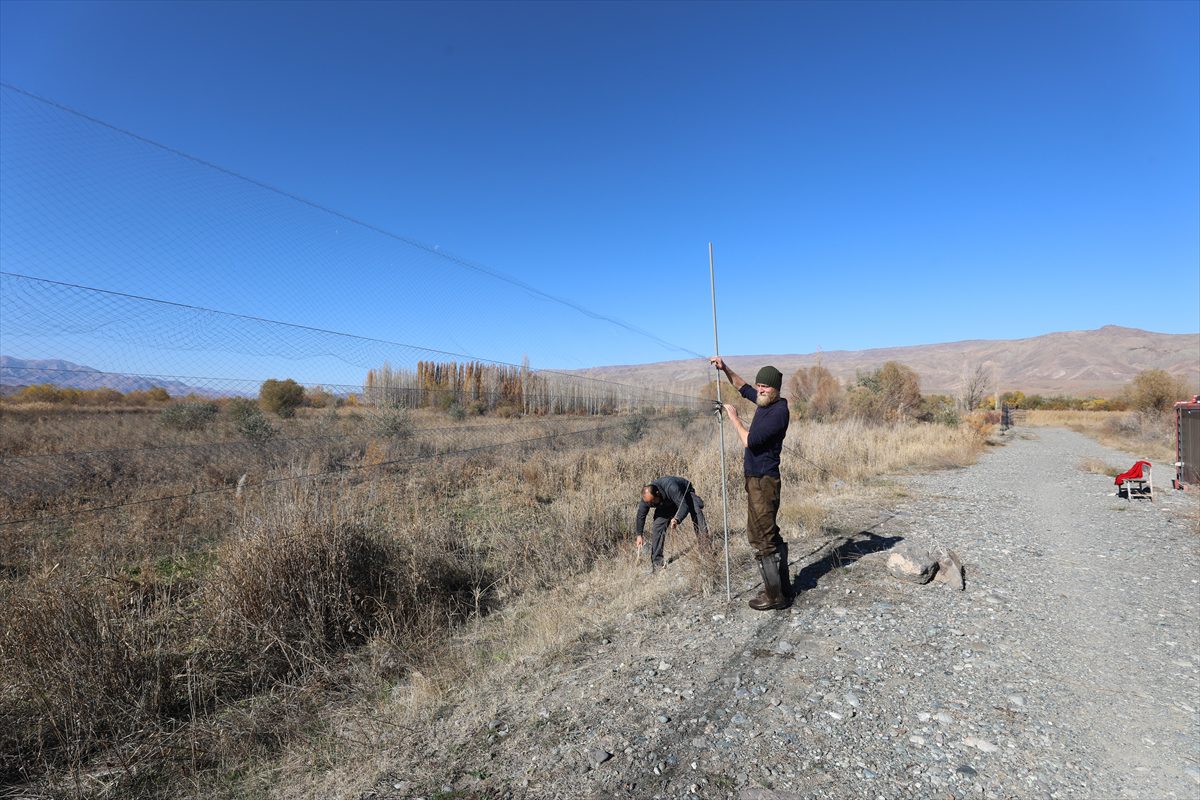 “Aras Kuş Cenneti”nde bu yıl 5 bin 125 kuş halkalandı