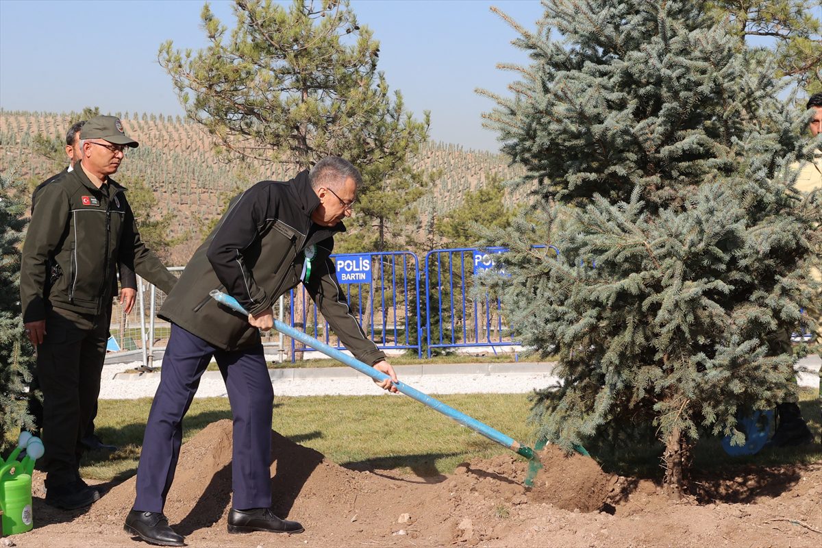 Cumhurbaşkanı Yardımcısı Oktay, “Milli Ağaçlandırma Günü” etkinliğinde konuştu: