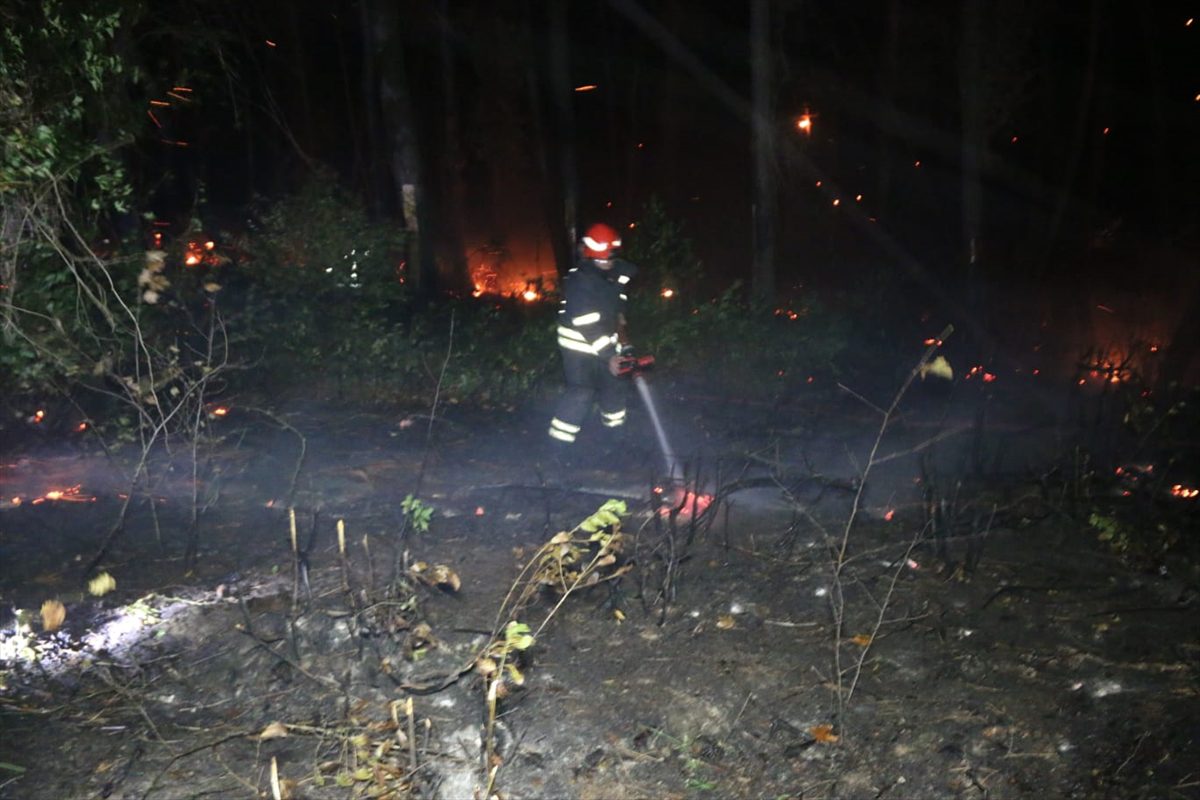 Kocaeli'de yaklaşık 15 dönümlük ormanlık alan yandı