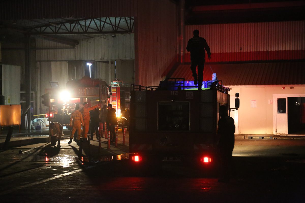 GÜNCELLEME – Muğla'da balık yemi fabrikasında çıkan yangın kontrol altına alındı