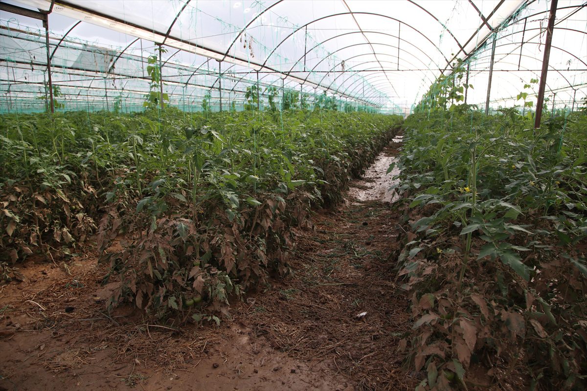 Tarım ve Orman Bakanı Kirişci, Antalya'da selden zarar gören çiftçileri ziyaret etti