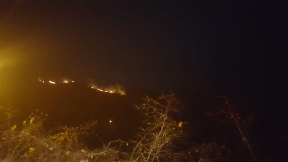 Trabzon'da çıkan örtü yangını söndürüldü