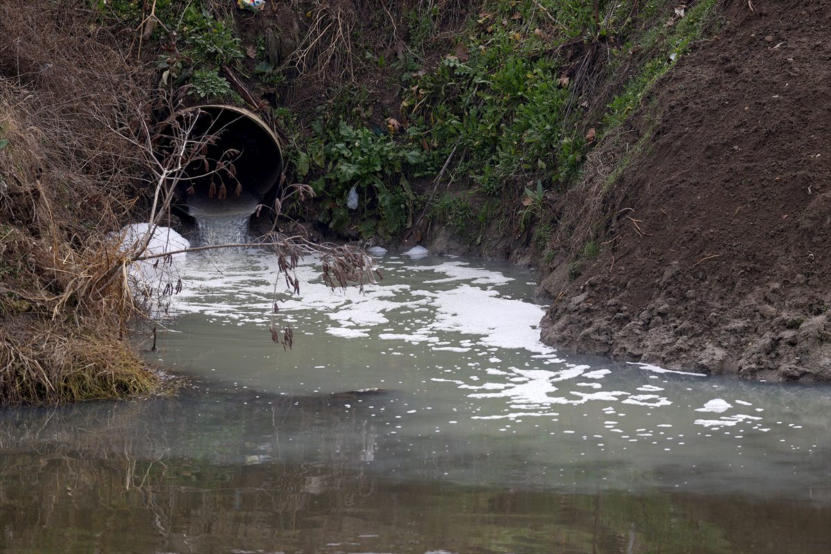 Edirne'de Tunca Nehri'ne atık su salınmasına çevrecilerden tepki